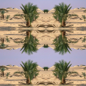 oasis_dakhia_sahara_desert_egypt_42077-1440x900