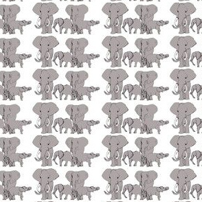 Grey African Elephants on White 