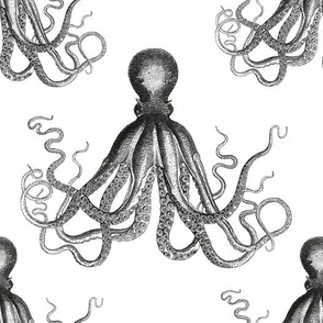 Vintage Octopus Pattern