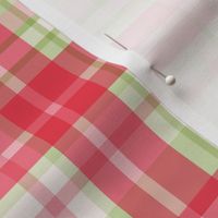 Pink and green watermelon retro plaid