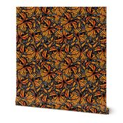 Monarch Butterfly Pattern | Orange and Black | Butterflies | Nature | Insects | Wings