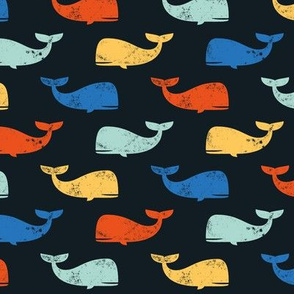 multi whales on dark blue