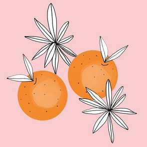 oranges on blush