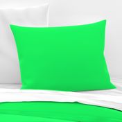 Lanai Lime Green - Acid Green