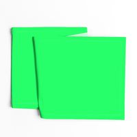 Lanai Lime Green - Acid Green