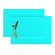 Bright Neon Aqua Blue Solid Coordinate