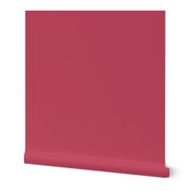 HCF5 - Watermelon Sorbet Sandstone Texture