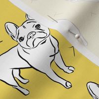 French Bulldog on Goldenrod Yellow