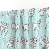 French bulldog on ice blue