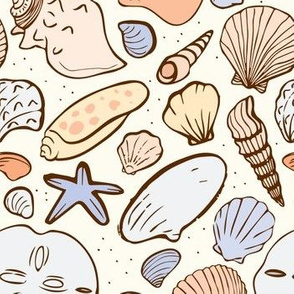 Shoreline Seashells