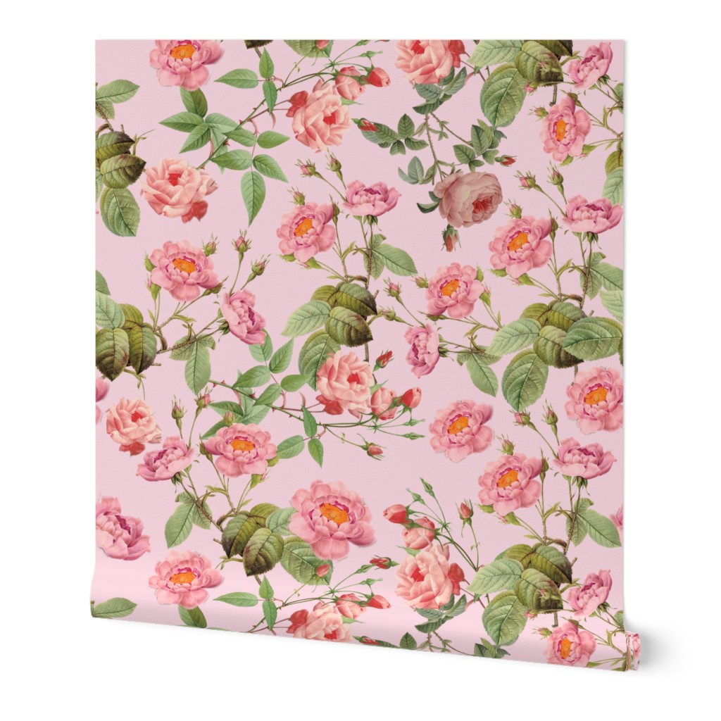 18"   Pierre-Joseph Redouté- Pierre-Joseph Redoute- Redouté fabric,Roses fabric-Redoute roses-Lovely Vintage Roses on Pink