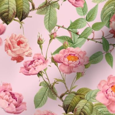 18"   Pierre-Joseph Redouté- Pierre-Joseph Redoute- Redouté fabric,Roses fabric-Redoute roses-Lovely Vintage Roses on Pink