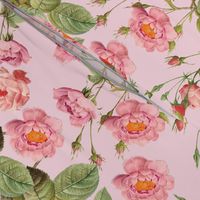 18"   Pierre-Joseph Redouté- Pierre-Joseph Redoute- Redouté fabric,Roses fabric-Redoute roses-Lovely Vintage Roses on Pink