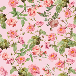 18"   Pierre-Joseph Redouté- Pierre-Joseph Redoute- Redouté fabric,Roses fabric-Redoute roses-Lovely Vintage Roses on Pink