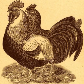 Victorian Etching, Colored Dorking Chickens sepia