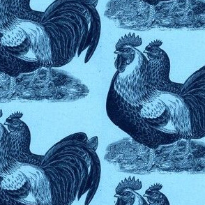 Victorian Etching of Colored Dorking Chickens (blue)