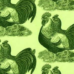 Victorian Etching of Colored Dorking Chickens (green)