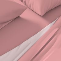 Light Pink Mellow Rose 2018 Fall Winter Color Trends