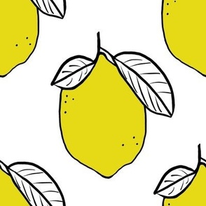 Modern Lemons