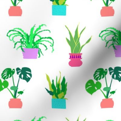 Simple Potted Plants in White