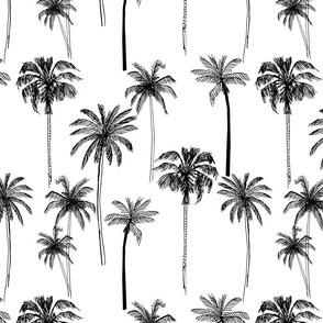 Palms