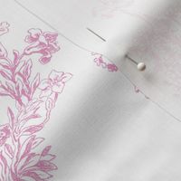 Pompadour Toile sorbet 1