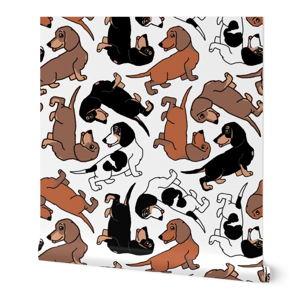 1950s Style Assorted Dachshund Puppies on White