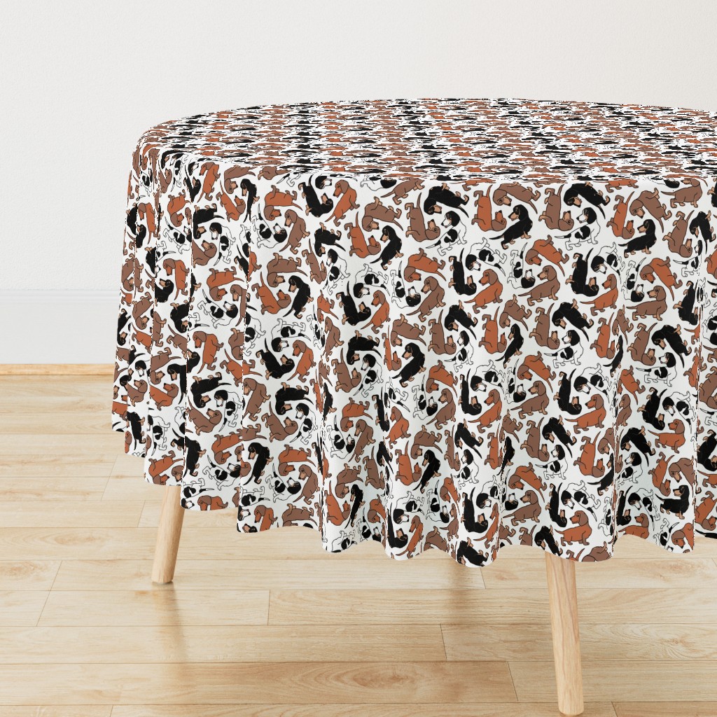 1950s Style Assorted Dachshund Puppies on White