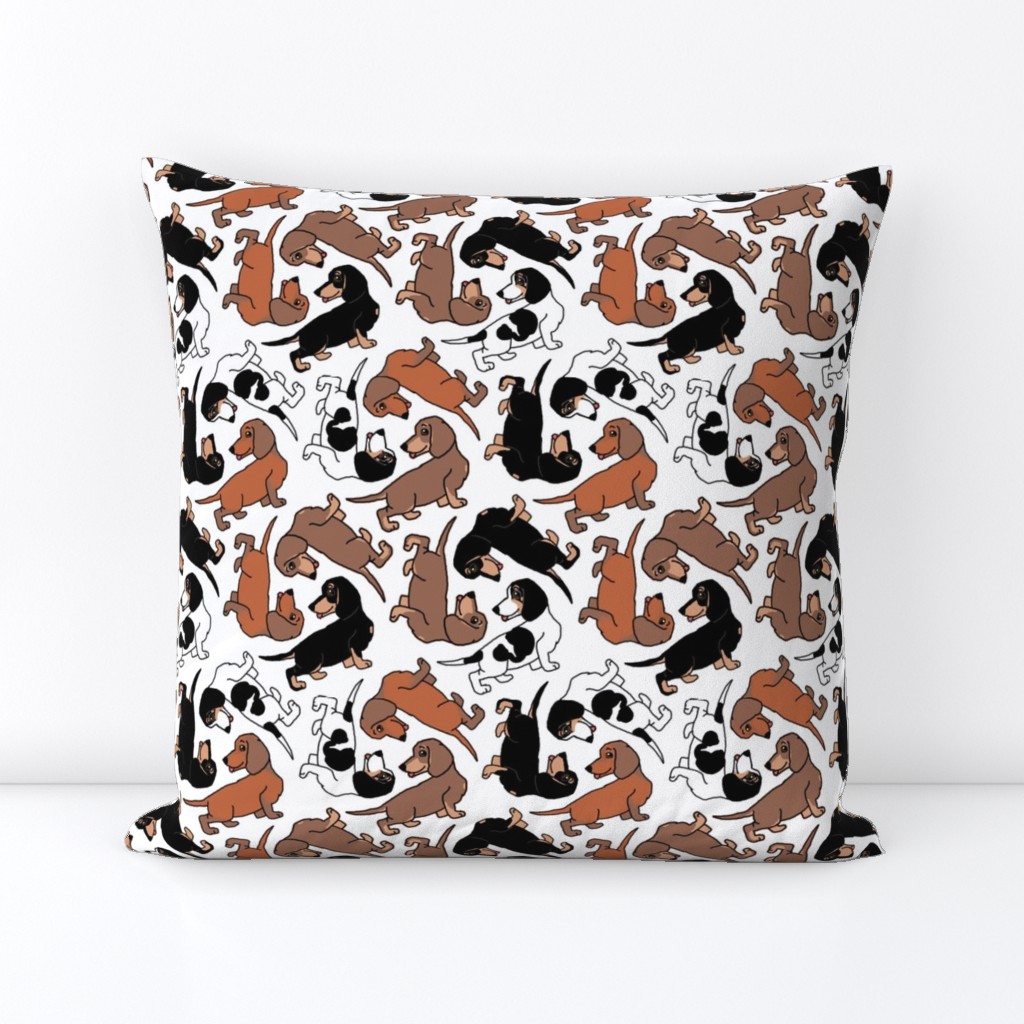 1950s Style Assorted Dachshund Puppies on White