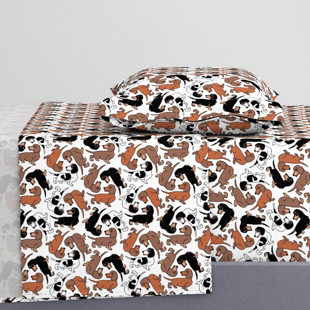 1950s Style Assorted Dachshund Puppies on White