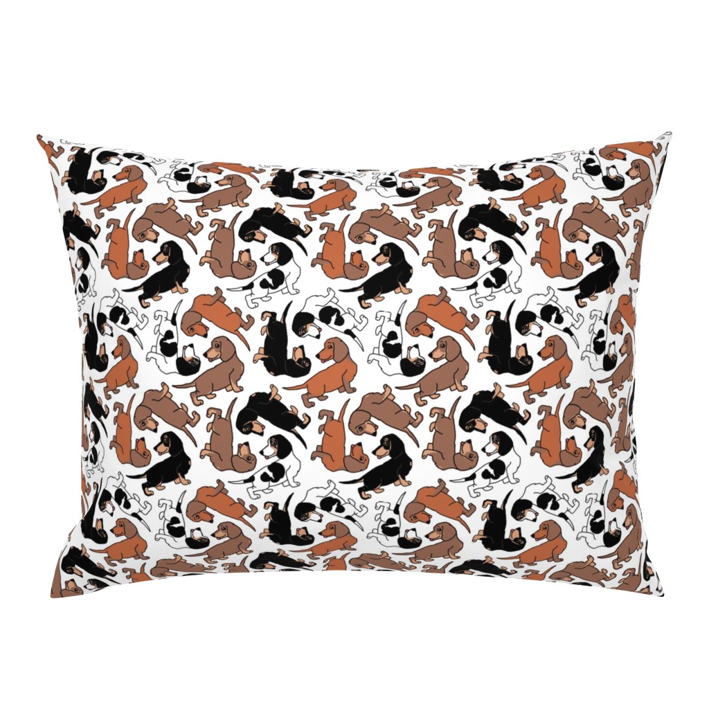 1950s Style Assorted Dachshund Puppies on White