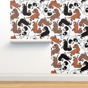 1950s Style Assorted Dachshund Puppies on White