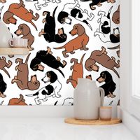 1950s Style Assorted Dachshund Puppies on White