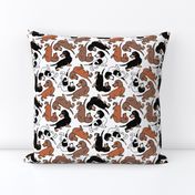 1950s Style Assorted Dachshund Puppies on White