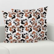 1950s Style Assorted Dachshund Puppies on White