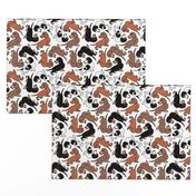 1950s Style Assorted Dachshund Puppies on White