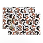 1950s Style Assorted Dachshund Puppies on White