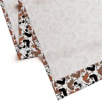 1950s Style Assorted Dachshund Puppies on White