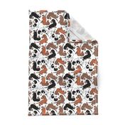 1950s Style Assorted Dachshund Puppies on White