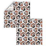 1950s Style Assorted Dachshund Puppies on White