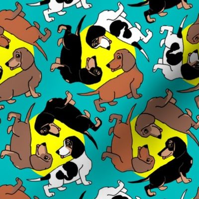 1950s Style Assorted Dachshund Puppies on Blue and Yellow