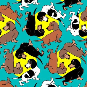 1950s Style Assorted Dachshund Puppies on Blue and Yellow