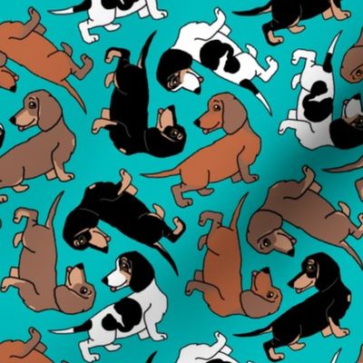 1950s Style Assorted Dachshund Puppies on Blue-Green