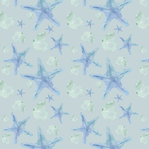 Starfish Shells