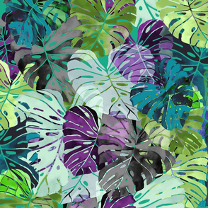 Emerald Shades of Monstera leaves