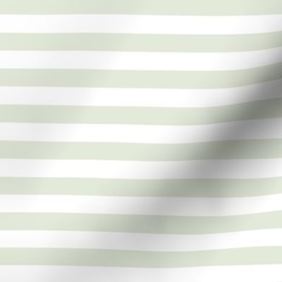 Clearwater Stripe faded basil
