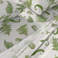 Woodland Ferns-Cream