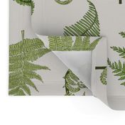 Woodland Ferns-Cream