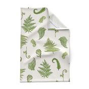 Woodland Ferns-Cream