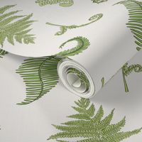 Woodland Ferns-Cream